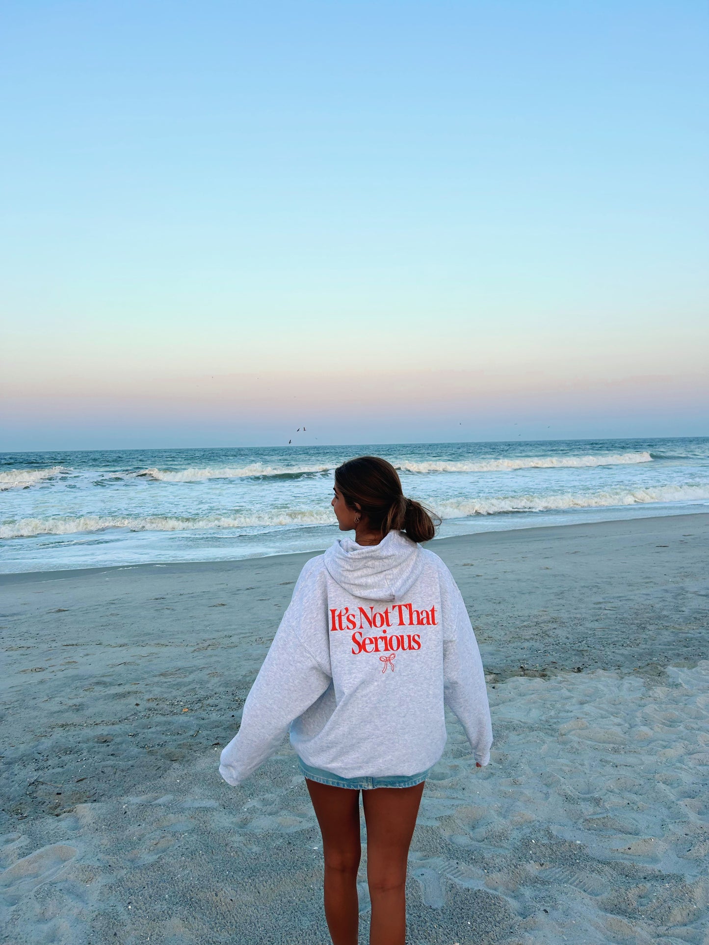 IT'S NOT THAT SERIOUS HOODIE