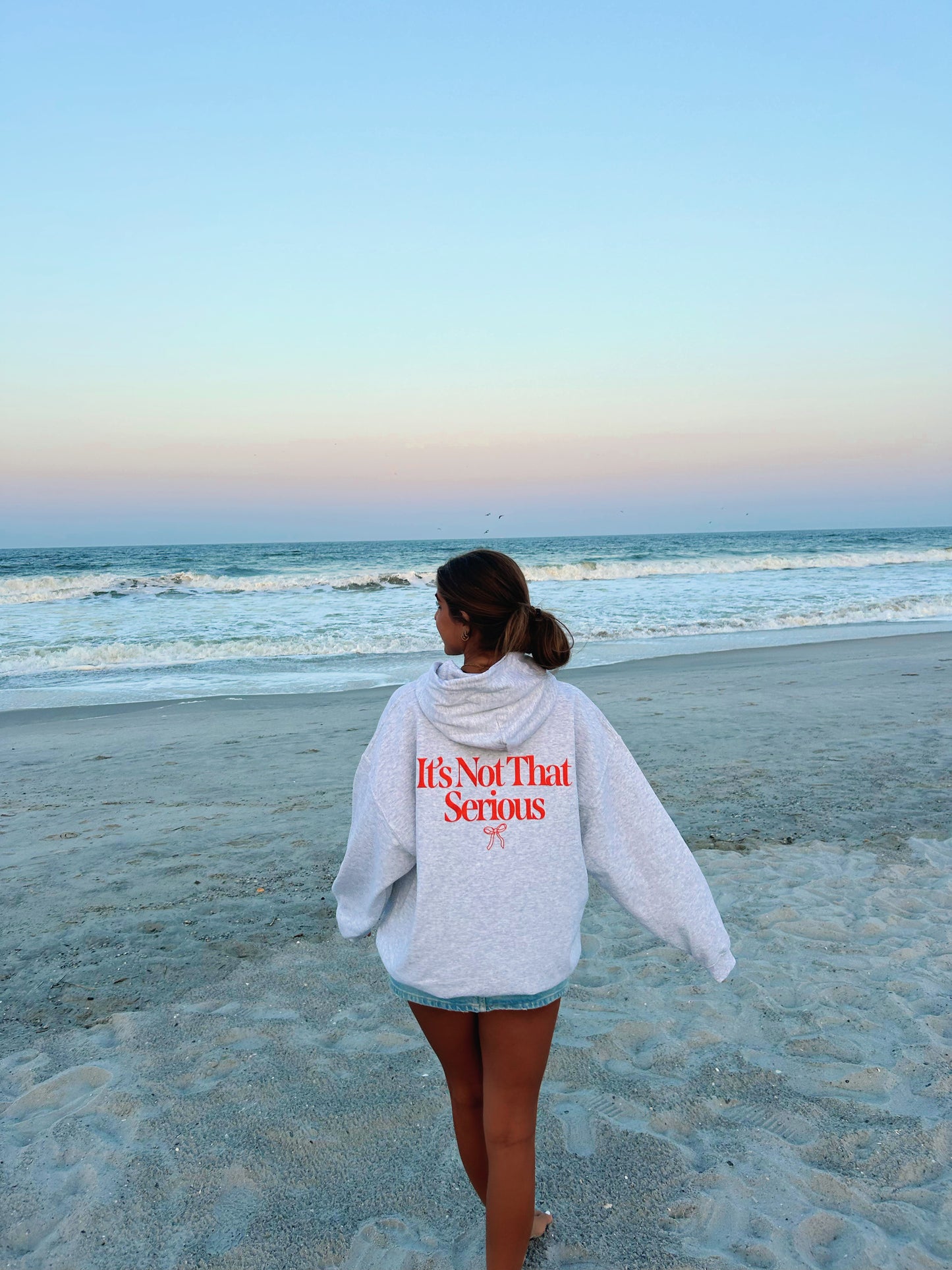 IT'S NOT THAT SERIOUS HOODIE